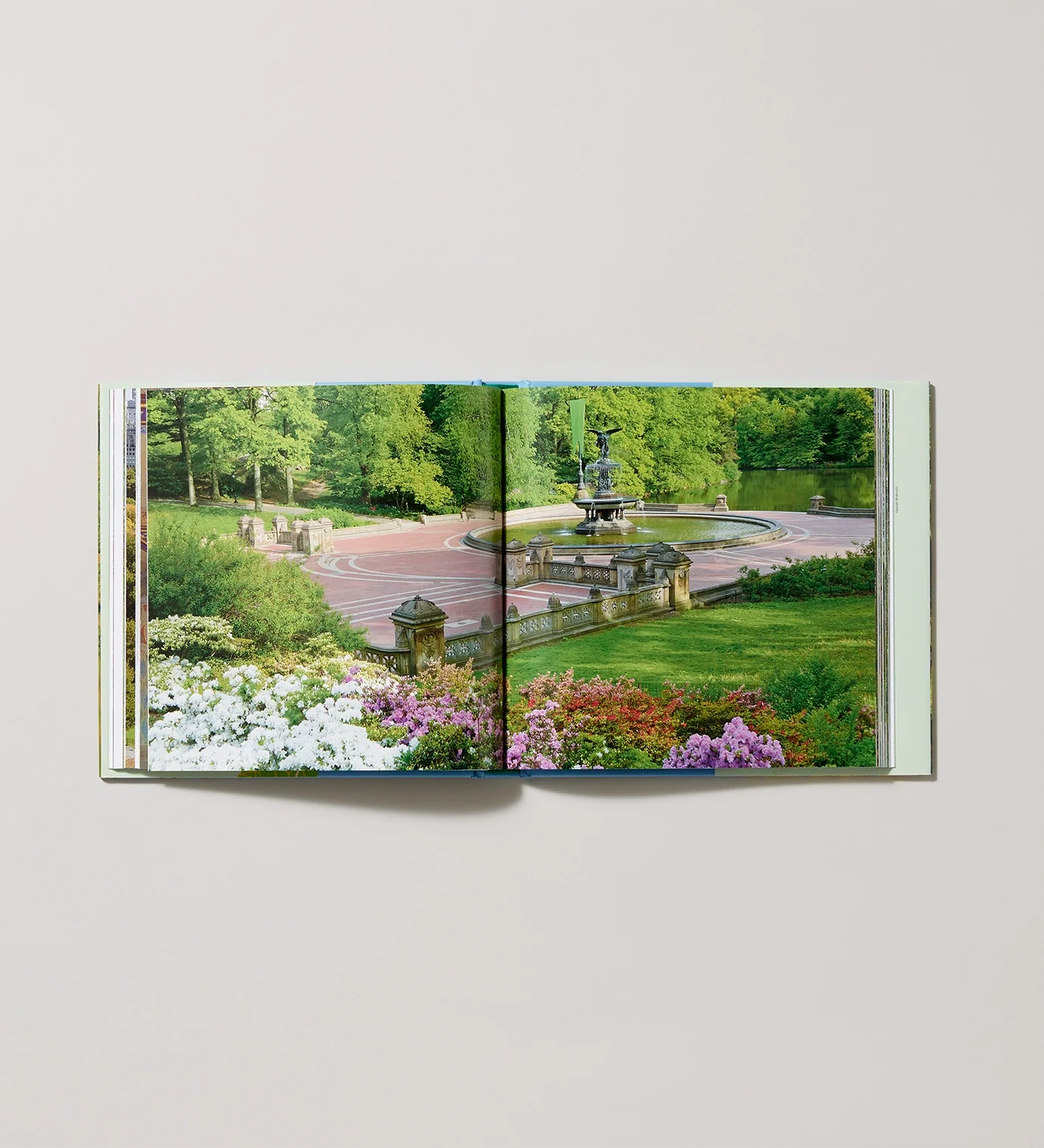 Seeing Central Park: The Official Guide – Updated & Signed Edition - Image 4
